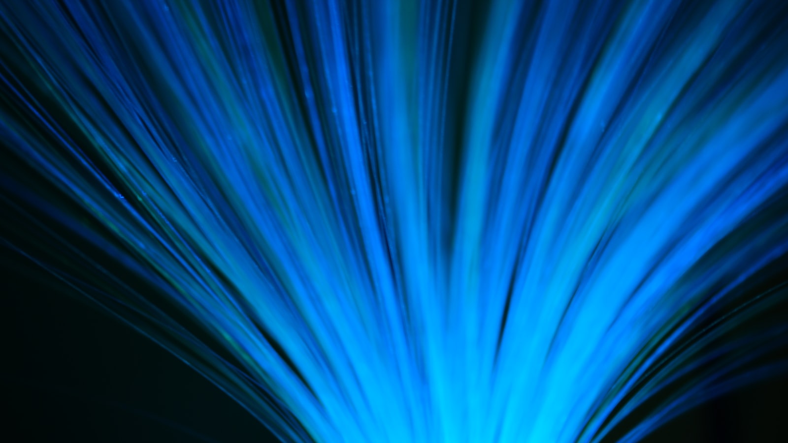 Fiber Optic